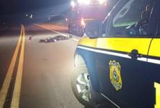 PRF atende atropelamento com morte em Três de Maio